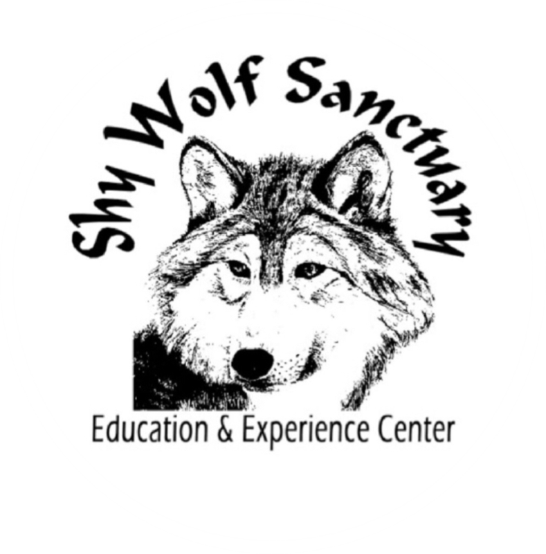 circle logo